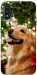 Чохол New year dog для Galaxy A01