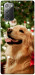 Чехол New year dog для Galaxy Note 20