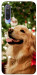 Чехол New year dog для Xiaomi Mi 9