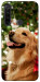 Чохол New year dog для Xiaomi Redmi Note 8T