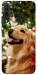 Чехол New year dog для Huawei Y6p