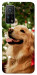 Чохол New year dog для Xiaomi Mi 10T