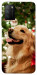 Чохол New year dog для Xiaomi Poco M3