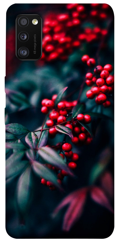 

Чехол Red berry для Galaxy A41 (2020) 1222471