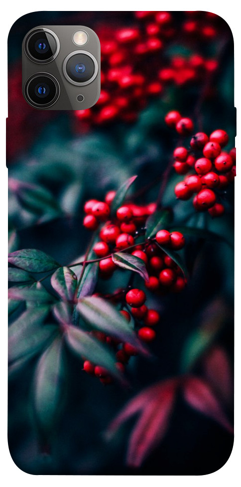 Чехол Red berry для iPhone 12 Pro Max