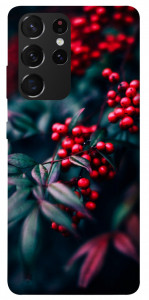 Чехол Red berry для Galaxy S21 Ultra