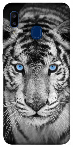 Чехол Бенгальский тигр для Galaxy A20 (2019)
