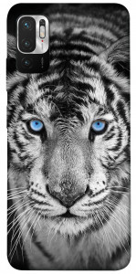 Чехол Бенгальский тигр для Xiaomi Redmi Note 10 5G
