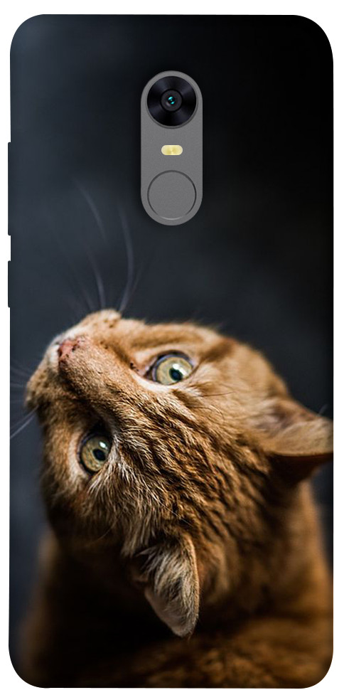 Чохол Рудий кіт для Xiaomi Redmi Note 5 (Single Camera)