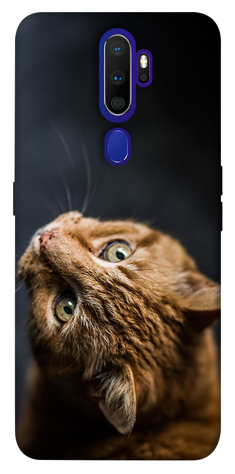 

Чохол Рудий кіт для Oppo A5 (2020) 1252811