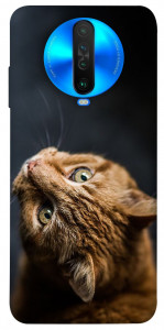 Чехол Рыжий кот для Xiaomi Poco X2