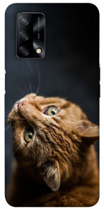 Чохол Рудий кіт для Oppo A74 4G
