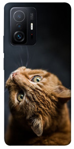 Чохол Рудий кіт для Xiaomi 11T