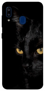 Чехол Черный кот для Galaxy A20 (2019)