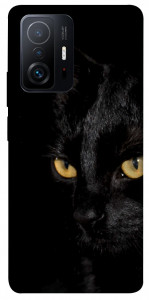 Чехол Черный кот для Xiaomi 11T