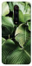 Чехол Тропическая листва для Xiaomi Redmi K20 Pro