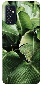 Чехол Тропическая листва для Galaxy M52