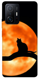 Чохол Кіт на тлі місяця для Xiaomi 11T