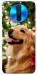 Чехол New year dog для Xiaomi Poco X2