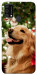 Чехол New year dog для Galaxy M21s