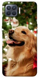 Чехол New year dog для Oppo Reno 4 Lite