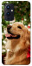 Чохол New year dog для OnePlus 9