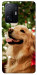 Чохол New year dog для Xiaomi 11T