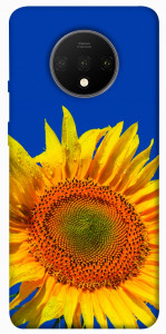 Чехол Sunflower для OnePlus 7T