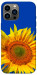 Чехол Sunflower для iPhone 13 Pro Max