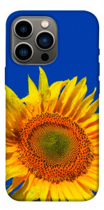 Чохол Sunflower для iPhone 13 Pro