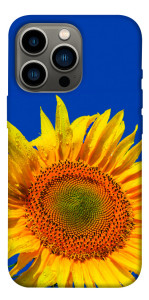 Чохол Sunflower для iPhone 13 Pro