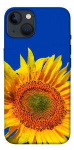 Чехол Sunflower для iPhone 13