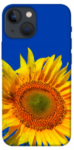 Чехол Sunflower для iPhone 13 mini