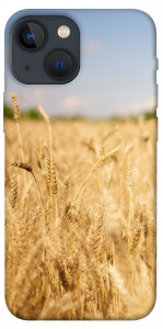 Чехол Поле пшеницы для iPhone 13 mini