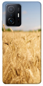 Чехол Поле пшеницы для Xiaomi 11T