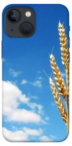 Чехол Пшеница для iPhone 13 mini