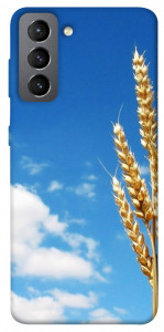 Чехол Пшеница для Galaxy S21 FE