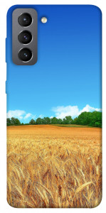 Чехол Пшеничное поле для Galaxy S21 FE