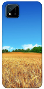 Чехол Пшеничное поле для Realme C11 (2021)