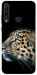 Чехол Leopard для Huawei Y6p