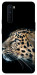 Чехол Leopard для OnePlus Nord