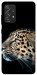 Чохол Leopard для Galaxy A72 4G