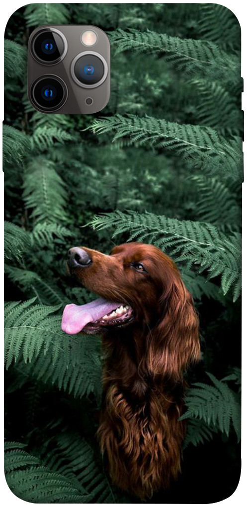 Чехол Собака в зелени для iPhone 11 Pro Max