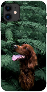 Чехол Собака в зелени для iPhone 11