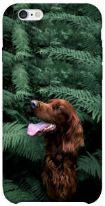 Чехол Собака в зелени для iPhone 6s (4.7'')