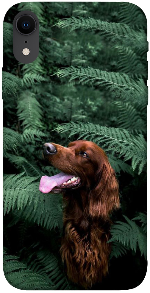 Чехол Собака в зелени для iPhone XR