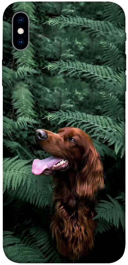 Чехол Собака в зелени для iPhone XS Max