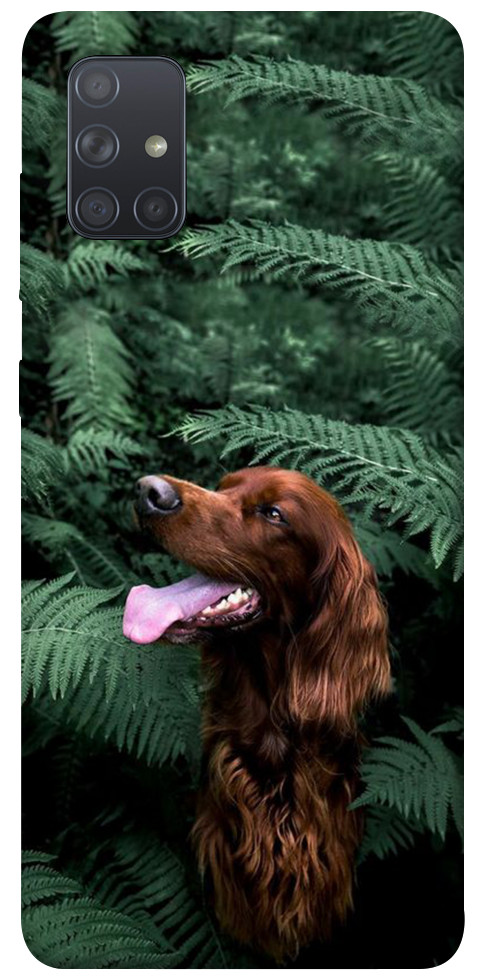 Чехол Собака в зелени для Galaxy A71 (2020)