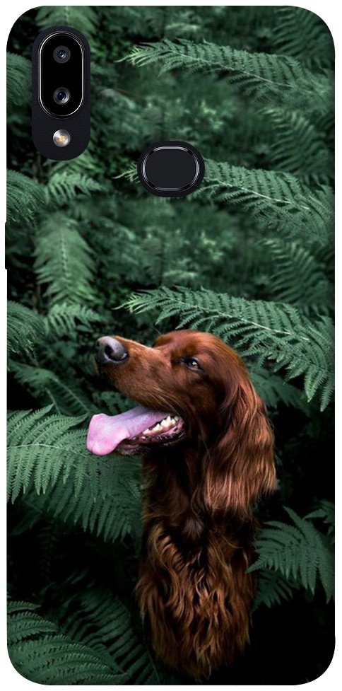 Чехол Собака в зелени для Galaxy A10s (2019)