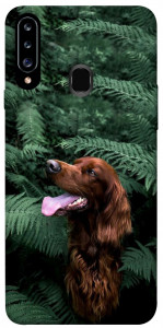 Чехол Собака в зелени для Galaxy A20s (2019)